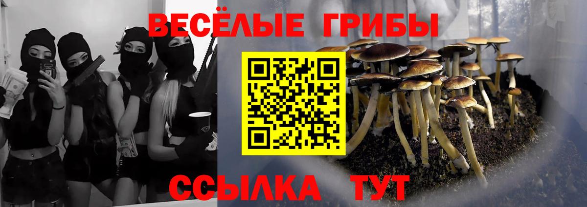 Псилоцибиновые грибы Magic Shrooms  Галлюциногенные грибы прущие грибы  Вход с VPN  Родники 